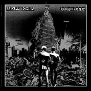 Sex Prisoner / Harm Done split LP Out Now!